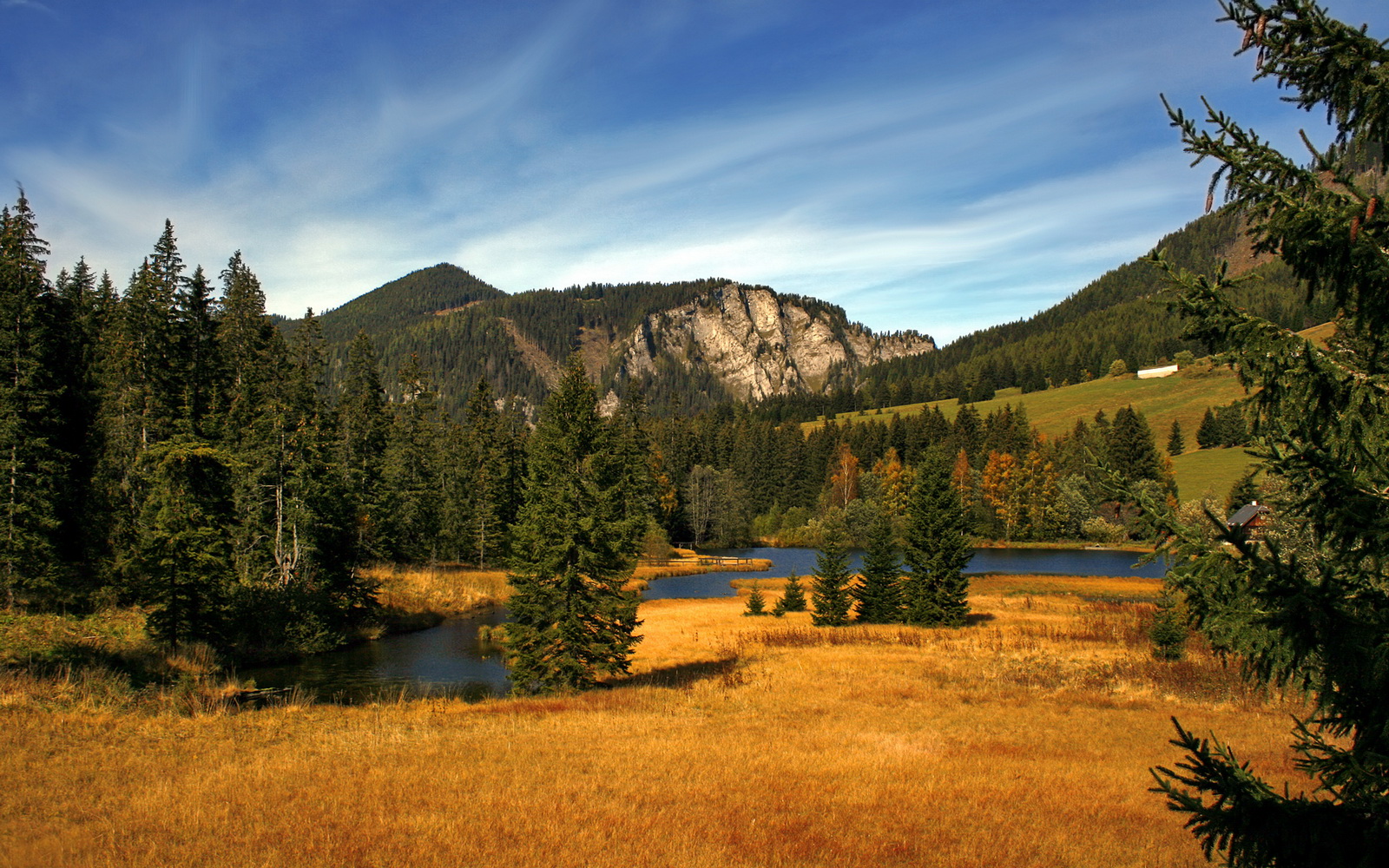 黄金左路,维尼修斯闪电撕裂乌拉圭,斯通斯铁闸锁死曼市德比