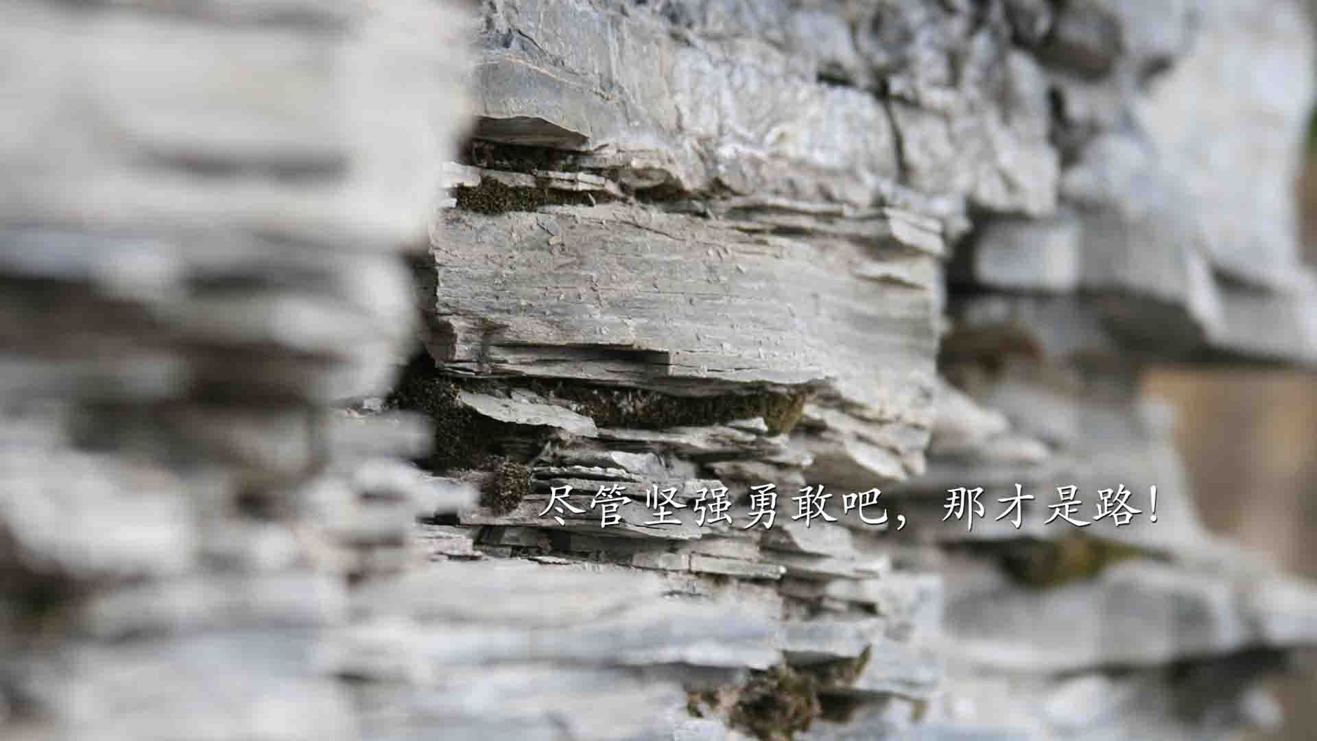 开云体育APP下载-战歌与奇迹，埃及在都灵之巅上演的奥运周期逆袭之战