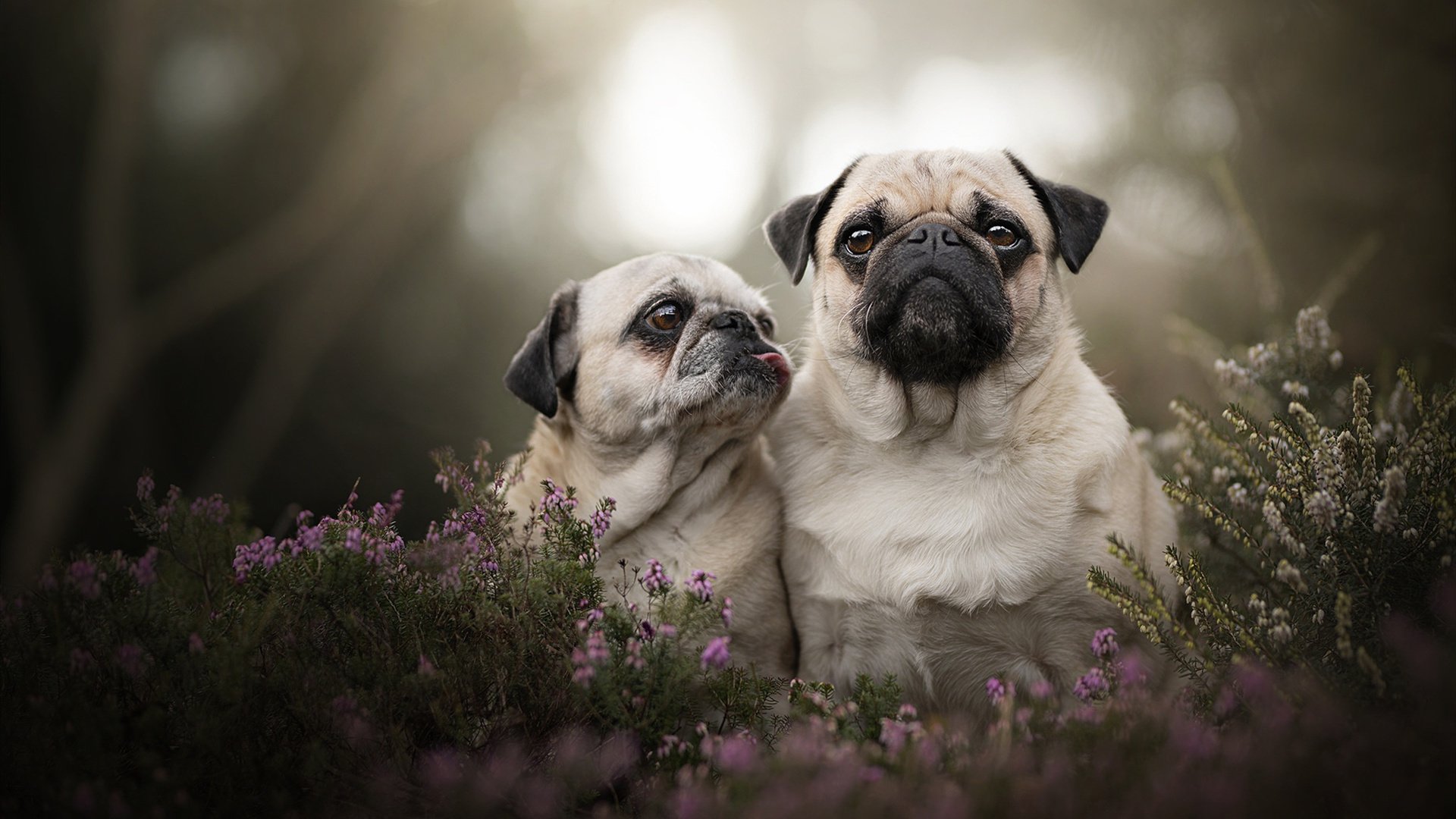 开云体育在线-火山终将喷发,哥斯达黎加踏平洪都拉斯,金玟哉完成淬火重生