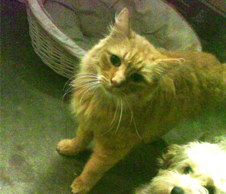 闪电与磐石,爱德华兹47分神迹难阻马刺加时鏖战力克北京