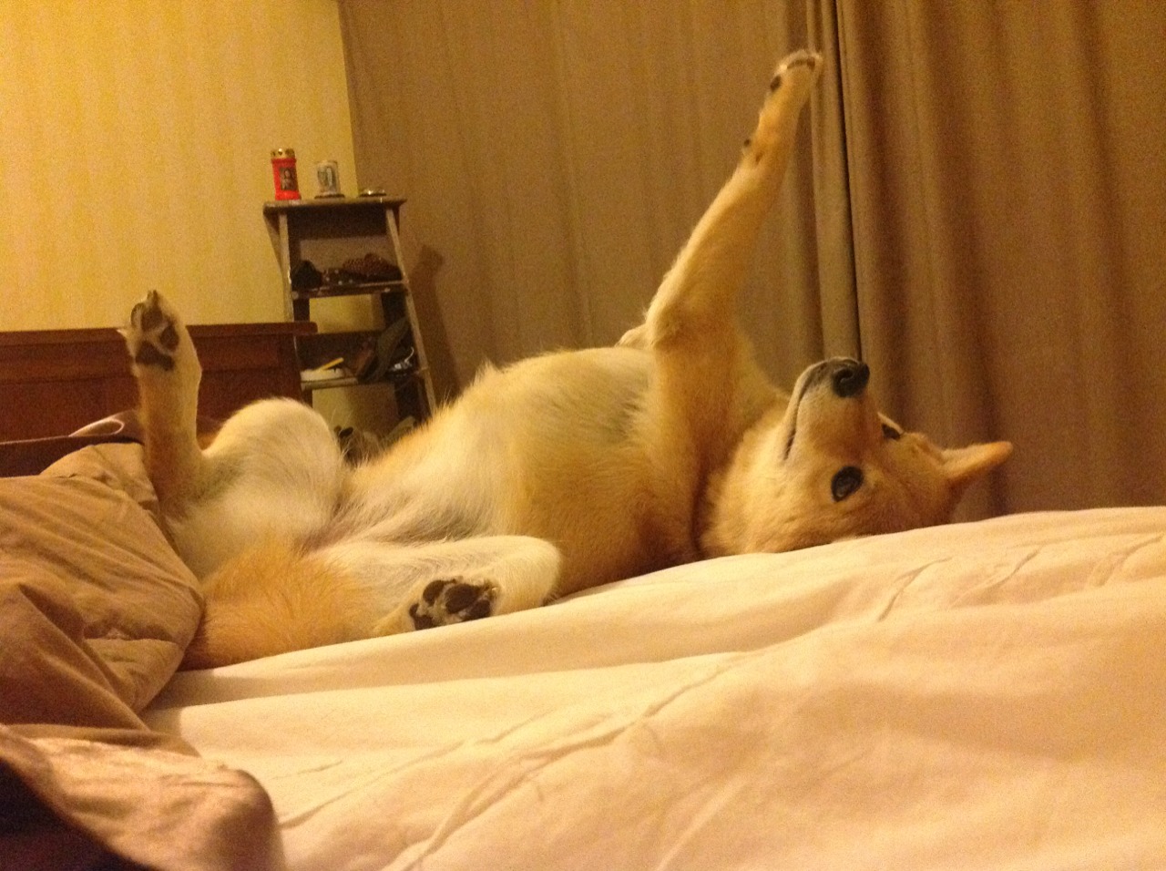 德甲争冠焦点战，拜仁慕尼黑轻取巴拉圭，强势领跑积分榜