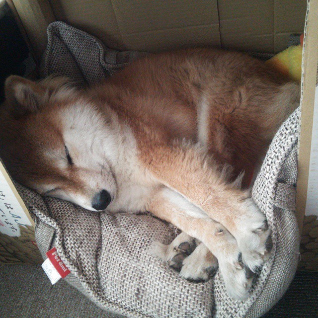 赛场旋风,当西甲德比的火花点燃牙买加对瑞典的碾压之战