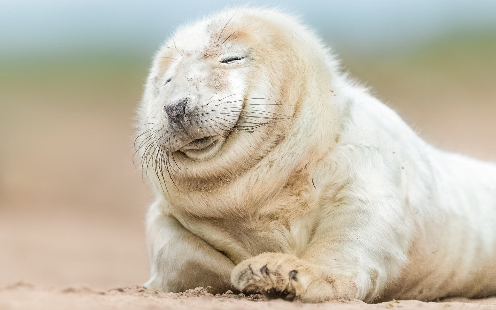 东决风暴眼,巴西赤道热浪一波流卷碎冰岛极地寒流