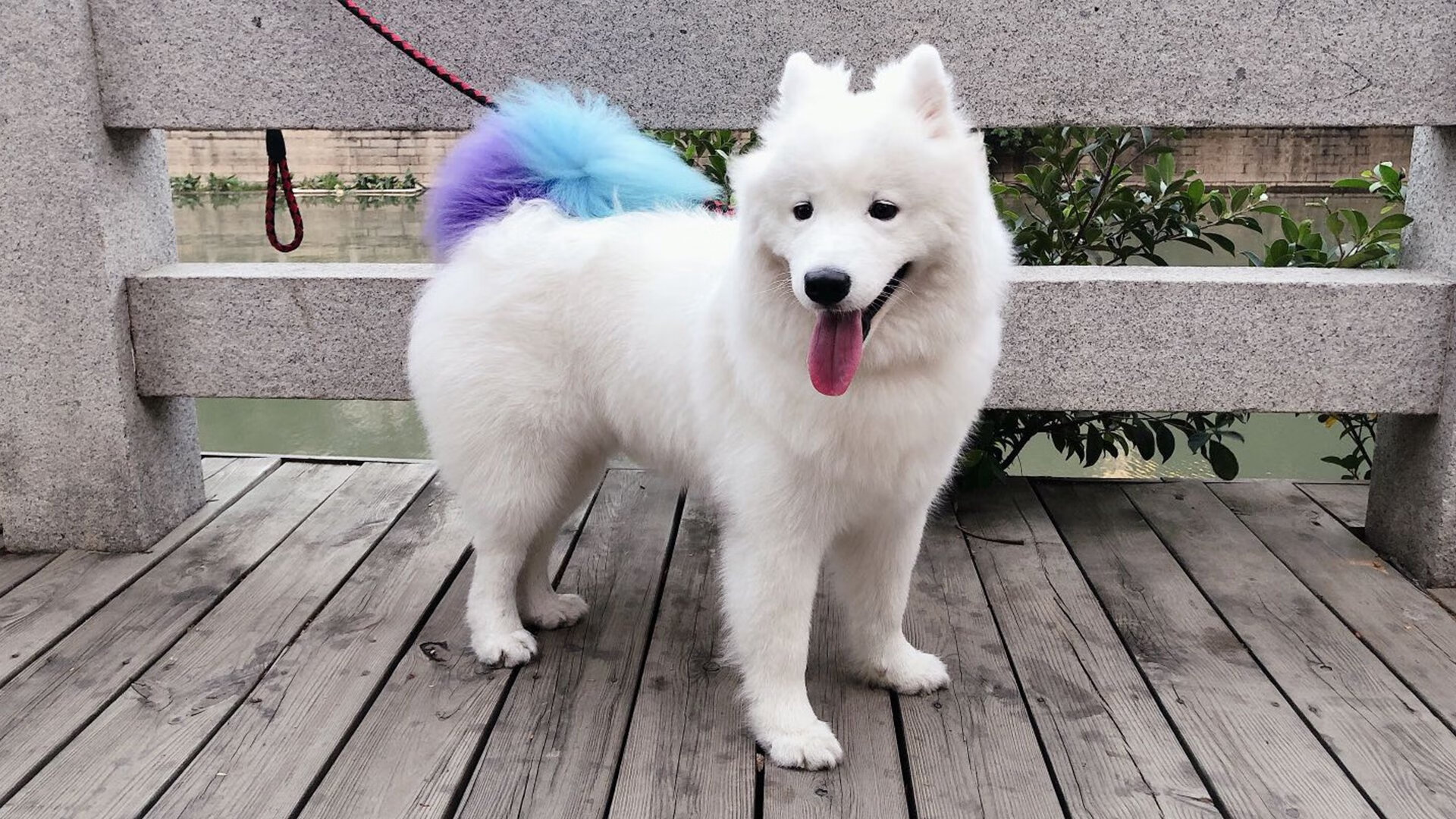 开云平台-奥运烽火台前的唯一主角，奥斯梅恩在制空权之夜完成历史级压制