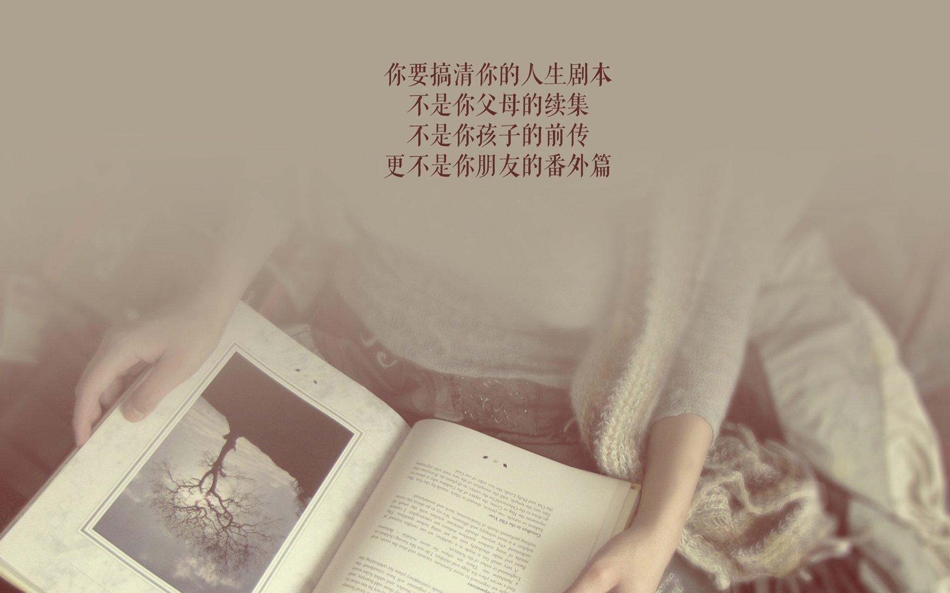 红白狂飙，2026世界杯C组关键战，奥地利碾压罗马尼亚，萨内领衔演绎东欧足球新秩序