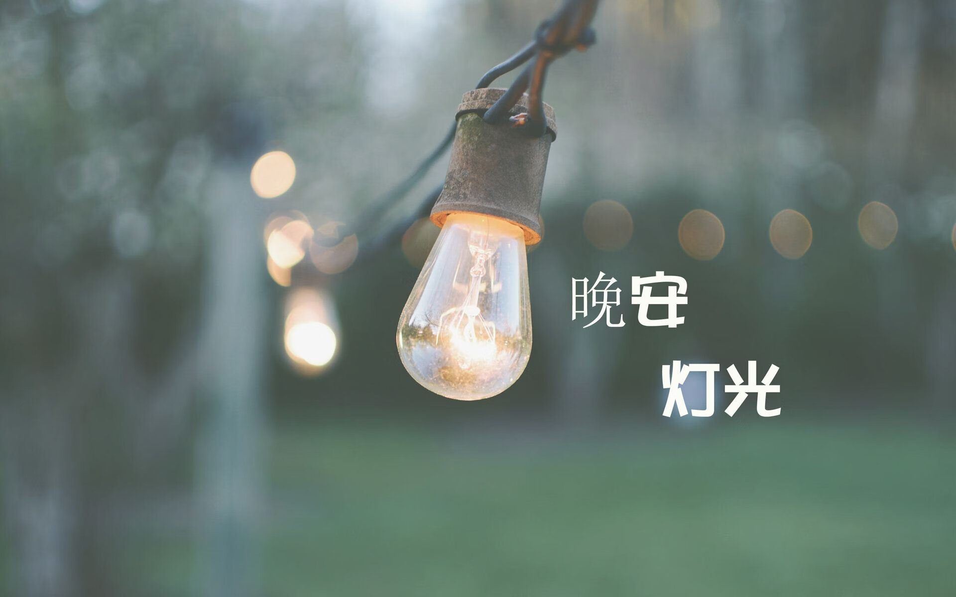 2026世界杯F组，哈基米掌控中场，伊拉克爆冷掀翻美国